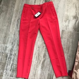 Adrianna Papell Kate Fit Pants
